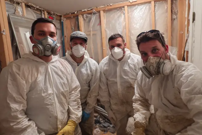 About Rockledge Mold Removal 