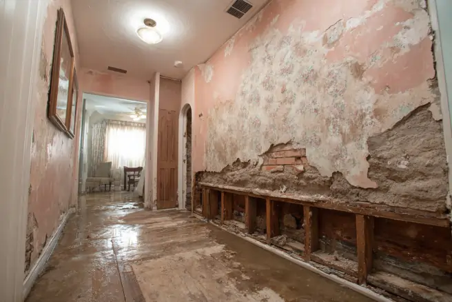 water damage restoration