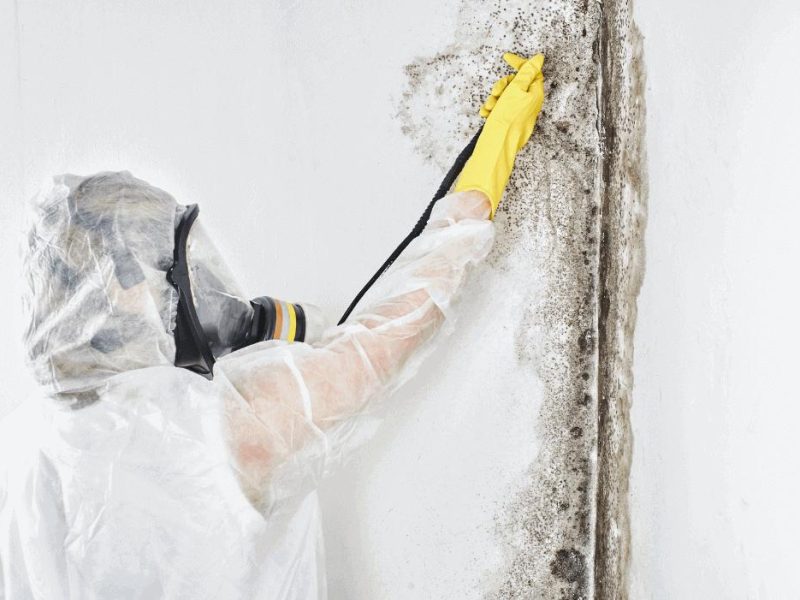worker wearing protective mask